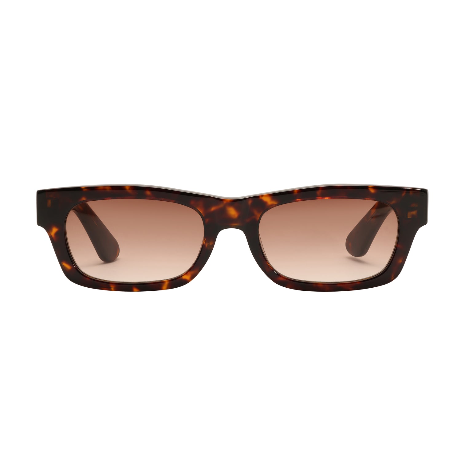 SLOANE GLASSES