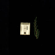 YVES CIGARETTE CASE